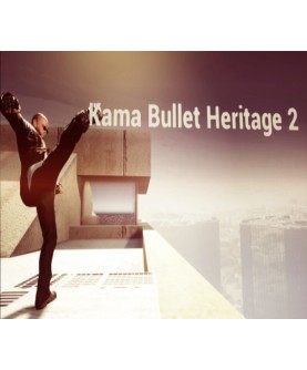 Kama Bullet Heritage 2 Steam Key GLOBAL